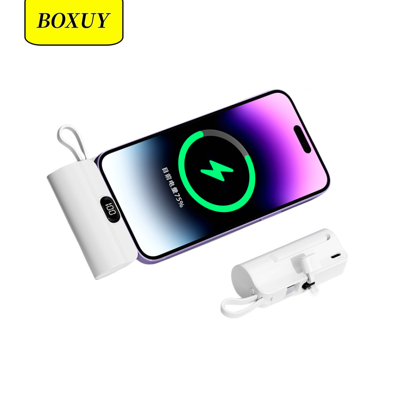 10000mAh Mini Portable Power Bank